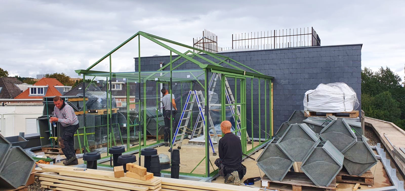 Klimaatslimme daktuin Stadsgras: groene stadsoase 06