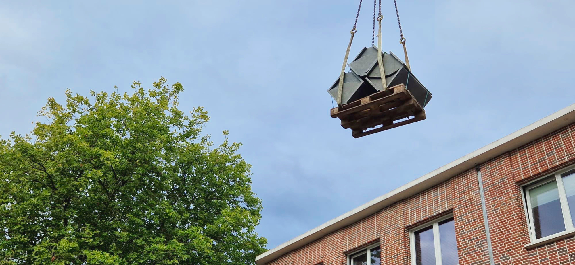 Klimaatslimme daktuin Stadsgras: groene stadsoase 03
